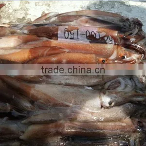 da Nang Illex Squid thumbnail-2