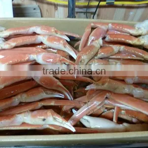 Delicious Frozen Seafood Crab , Other Seafoods Also Available thumbnail-1
