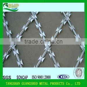Umbrella Head Roofing Nails, Hot Sale Galvanized Roofing Nails thumbnail-5