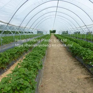 Plastic Greenhouse Cover thumbnail-2