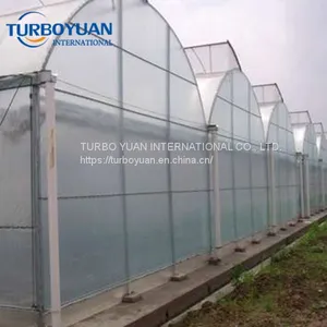 Polyethylene / Eva Cover Greenhouse Clear Plastic Film in Malaysia thumbnail-5