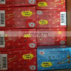 Custom Made Gas Motorcycle Spare Parts Engine Valve for Dayun 150 200 800 150cc 200cc 800cc thumbnail-4