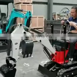 Cheap Price 0.8 Ton Crawler Mini Excavator Diesel for Sale thumbnail-1