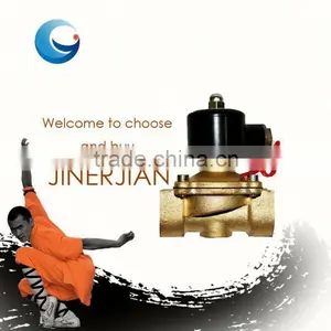 Vacuum Solenoid Valve thumbnail-1
