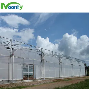 Commercial Use Agriculture Equipment PE Plastic Large Tunnel Vegetables Greenhouse thumbnail-1
