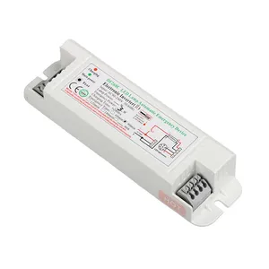 DF268C Emergency Battery Pack For Downlights LED Emergency Driver thumbnail-5