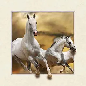 High Quality 3d Art Picture With Pet Lenticular 40x40 With Moving thumbnail-1