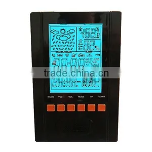 RCC Radio Controlled Clock and Weather Station thumbnail-1