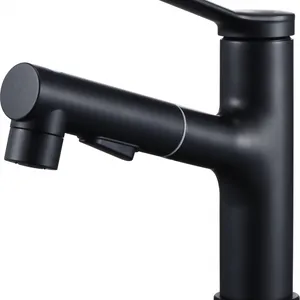 Kitchen Faucet - SUS 304 Sink Faucet thumbnail-4