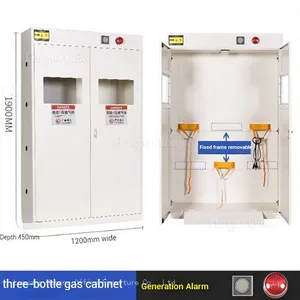Pharmaceutical Grade Gas Safety Locker: Smart Vented Storage Cabinet With High-Sensitivity Leakage Probe for GMP Cleanrooms thumbnail-2