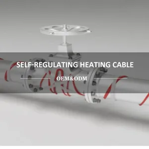 High Temperature 150 Degree Pipelines Heating Cable With Copper Conductor & FEP Insulation Constant Wattage Heat Cable thumbnail-3