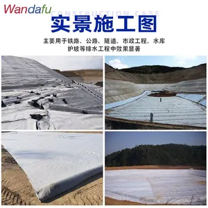 Wandafu 3D Composite Drainage HDPE 3D Drainage Geomat Geosynthetic Drainage Net thumbnail-4