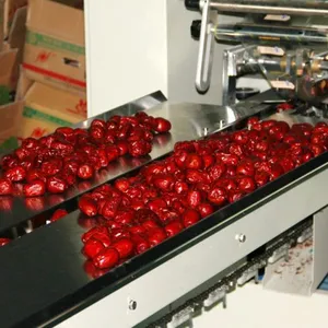 Dates Syrup Making Machine/Dates Molasses Making Machine thumbnail-4