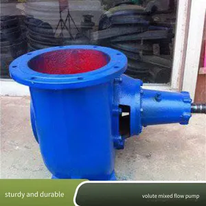 Volute-type Mixed-flow Water Pump 800hw-16 Mixed-flow Pump 24/7 Online Customer Service thumbnail-1