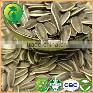 Sunflower Seeds Chinese Vegetable Seeds thumbnail-1