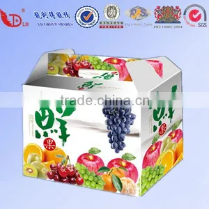 Good Price Corrugated Carton Box for Fruit Packaging thumbnail-2