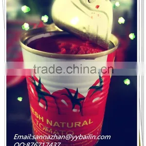 800g Natural Health Tomato Paste,no Additives,normal Can thumbnail-1
