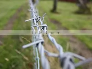 Anping Factory Galvanized Barbed Wire thumbnail-4