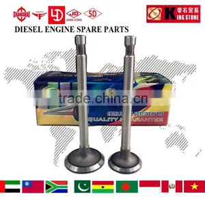Cheap Price Walking Tractor Z170F Engine Valve for Diesel Engine thumbnail-1
