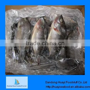 Best New Frozen Tilapia Frozen Fish thumbnail-1