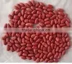 Red Skin Peanuts Kernel thumbnail-1