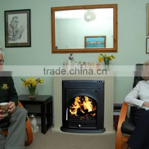 Popular Insert Cast Iron Wood Burning Stove for Sale thumbnail-1