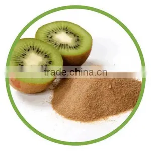 Spray Dried Fruit Powder thumbnail-3