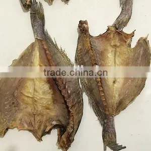 New Wholesale Dried Brown Croaker Fish thumbnail-2