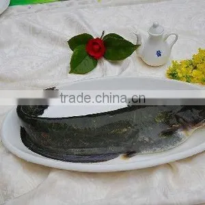 Bulk Farm Raised Channel Catfish thumbnail-1