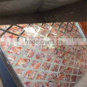 Decorative Wall Paneling Glass Xxxr-y516 thumbnail-1