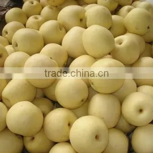 Juicy ya Pear thumbnail-3