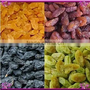 High Quality Dried Raisin (green Raisin / Red Raisin / Golden Raisin / Sultana) thumbnail-1