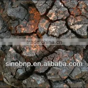 BNP Supply Reishi Mushroom Extract/chaga Mushroom Extract Powder thumbnail-1