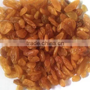 Fresh Golden Raisin thumbnail-1