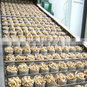 High Demand Export Products Fried and Salted Peanuts Canned Roasted Salted Peanuts thumbnail-4