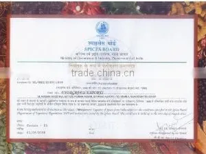 Evergreen Exports company overview - view 1 thumbnail