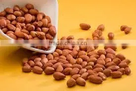 Roasted Peanuts thumbnail-5