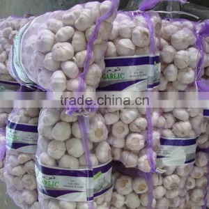 YUYUAN Brand Hot Sail Fresh Garlic Crushed Garlic thumbnail-2