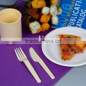 Biodegradable Plastic Disposable Dinner Plate thumbnail-1