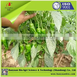 High Quality Organic Fertilizer With 60% Organic Matter(powder) thumbnail-2