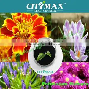 HOT!!! Strong Water Soluble Humic Minerals Fertilizer for Landscaping thumbnail-1