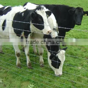 Hot Dipped Galvanized Grassland Fence(SGS Factory) thumbnail-5