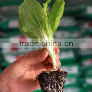 New Products Hotsale Rice Starting Seed Trays thumbnail-1