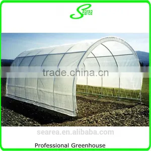 Plastic Arch Greenhouse for Sale From Big Greenhouse Manufacturer in China thumbnail-6