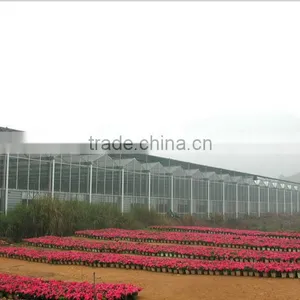 Galvanized Steel Frame Greenhouse for Flowers thumbnail-1