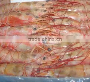Frozen Pink Shrimp thumbnail-5