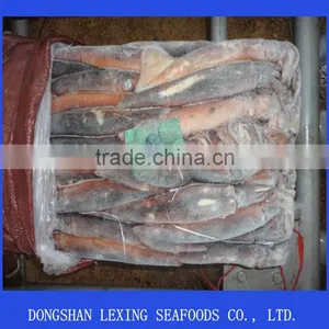 Frozen Argentinus Illex Squid thumbnail-1