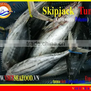 FROZEN W/R SKIPJACK TUNA thumbnail-1