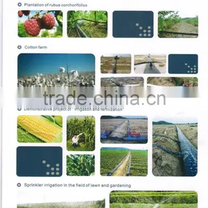 PE Plastic Drip Irrigation Lay Flat Hose thumbnail-3