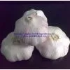 2012 Fresh Garlic thumbnail-1